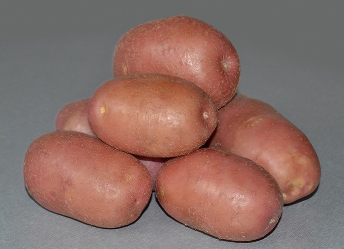 Як вирощувати картоплю за голландською технологією