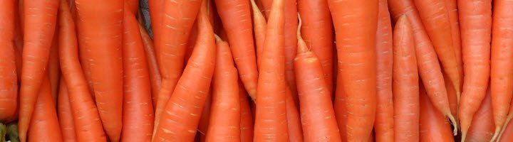 Як вирощувати моркву: поради