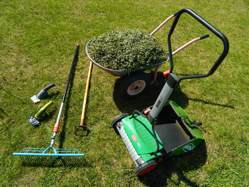 Як стригти газон