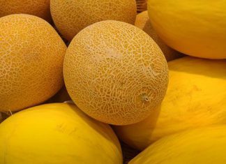 Скільки може зберігатися диня і як збільшити термін