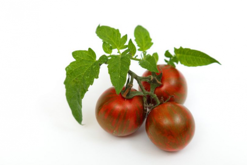 Лучшие сорта черных томатов для выращивания в Украине