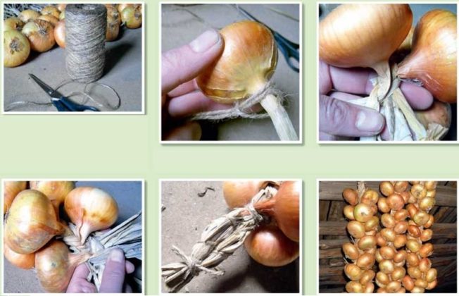 Способи плетіння часнику в косу для зберігання