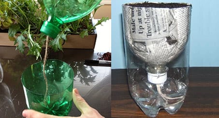 Робимо ємність для розсади з самополивом з пластикової пляшки