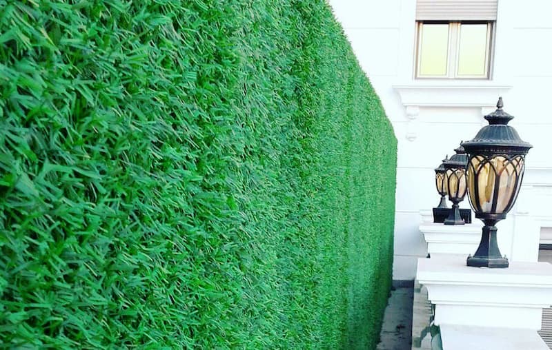 декоративный зеленый забор с ПВХ-покрытием