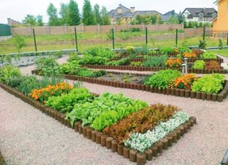 Ландшафтний дизайн ділянки з городом